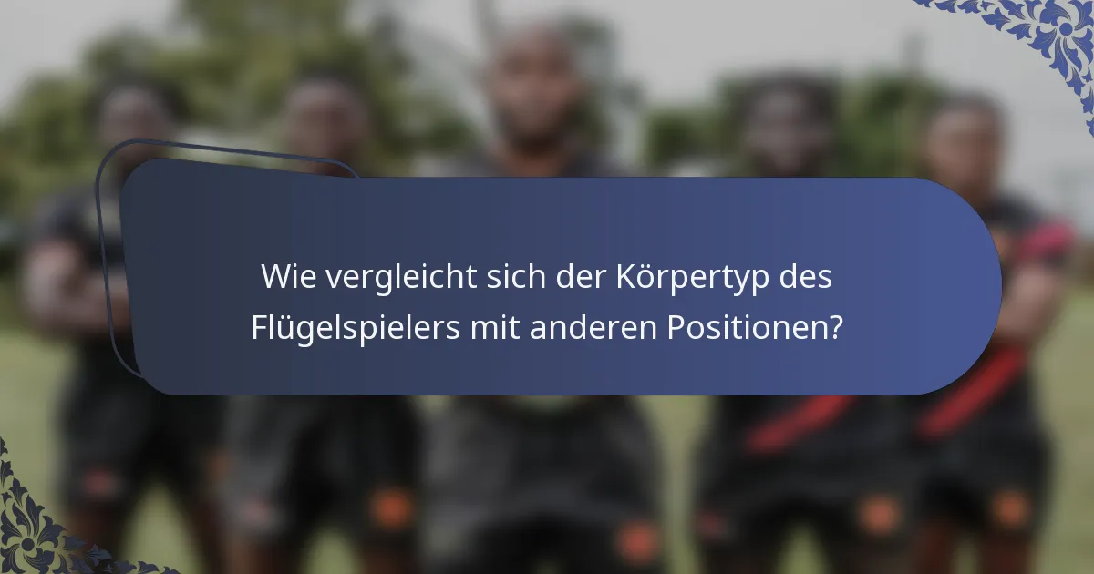 Wie vergleicht sich der Körpertyp des Flügelspielers mit anderen Positionen?